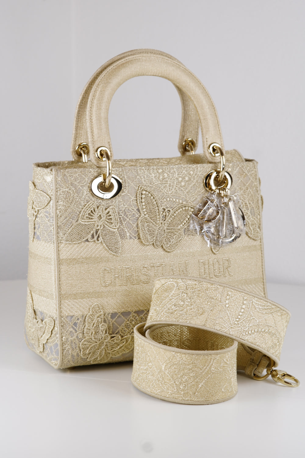 Lady Dior Small Embroidered Canvas  (Motif)