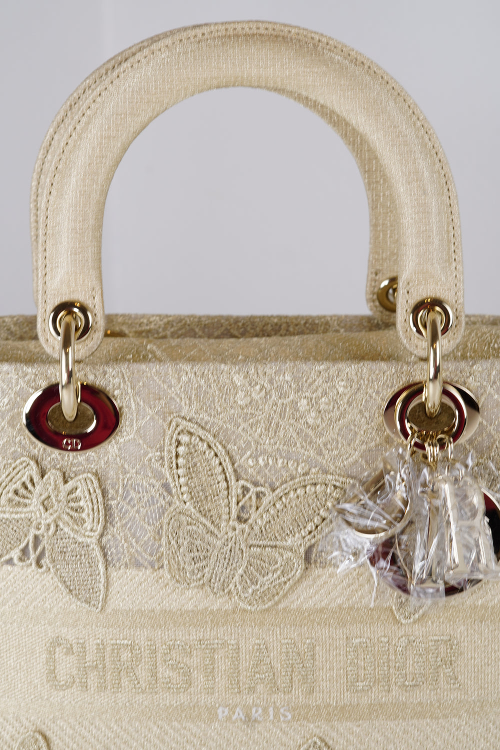 Lady Dior Small Embroidered Canvas  (Motif)