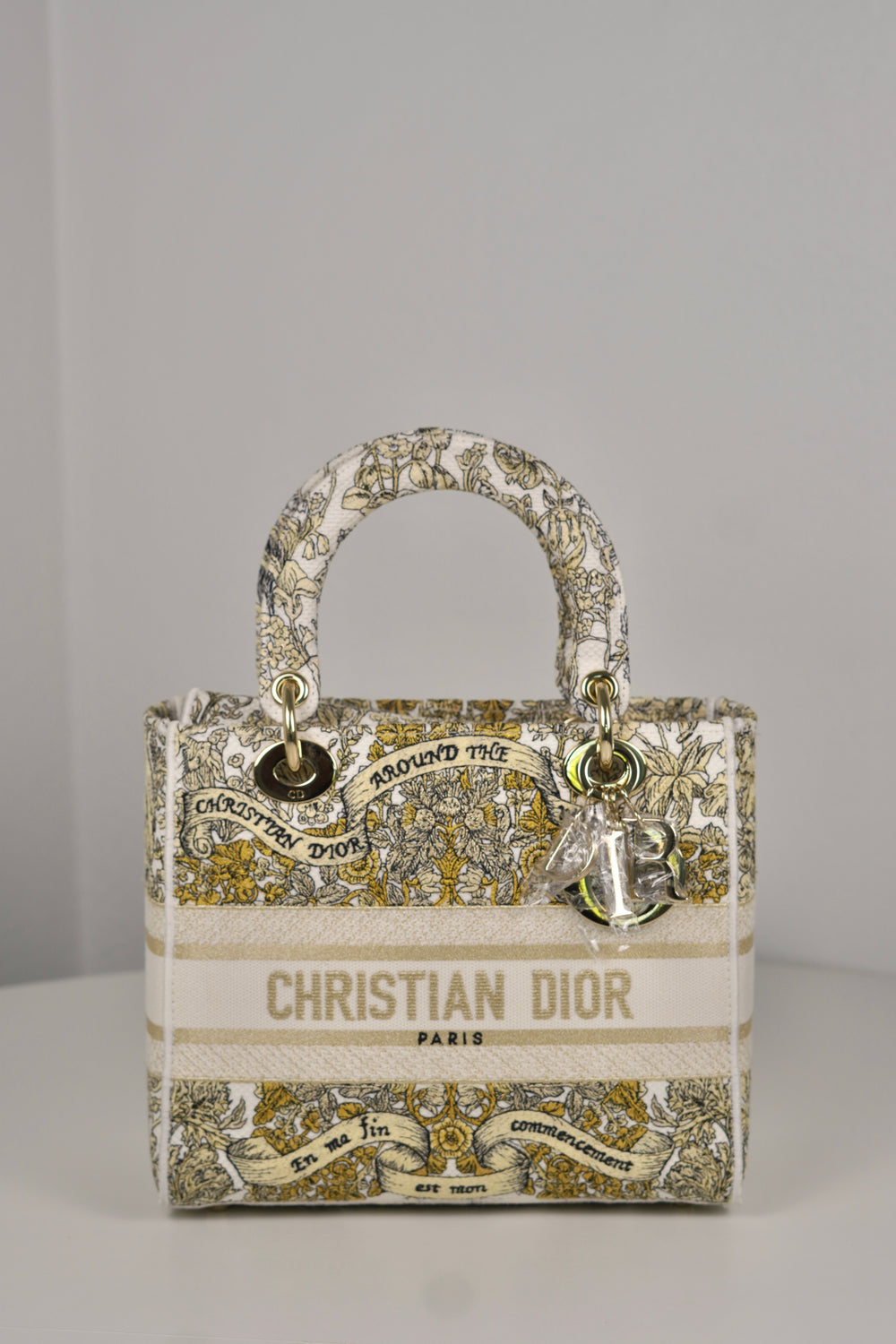 Lady Dior Medium Toile de Jouy (Around the world)  (collectionable special)